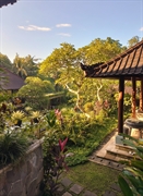 turnkey wellness retreat property - 3