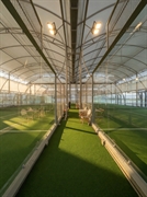 padel club 3 courts - 3