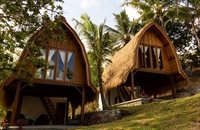 established jungle resort lombok - 2