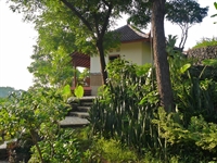 lush green bungalow resort - 1