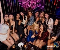 premium nightlife entertainment venue - 3