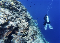 diving center for sale - 1