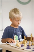 profitable international kindergarten business - 1