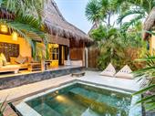 successful resort the tropical