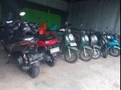 profitable rental motorbikes cars