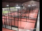 established indoor sports lifestyle