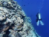 diving center for sale